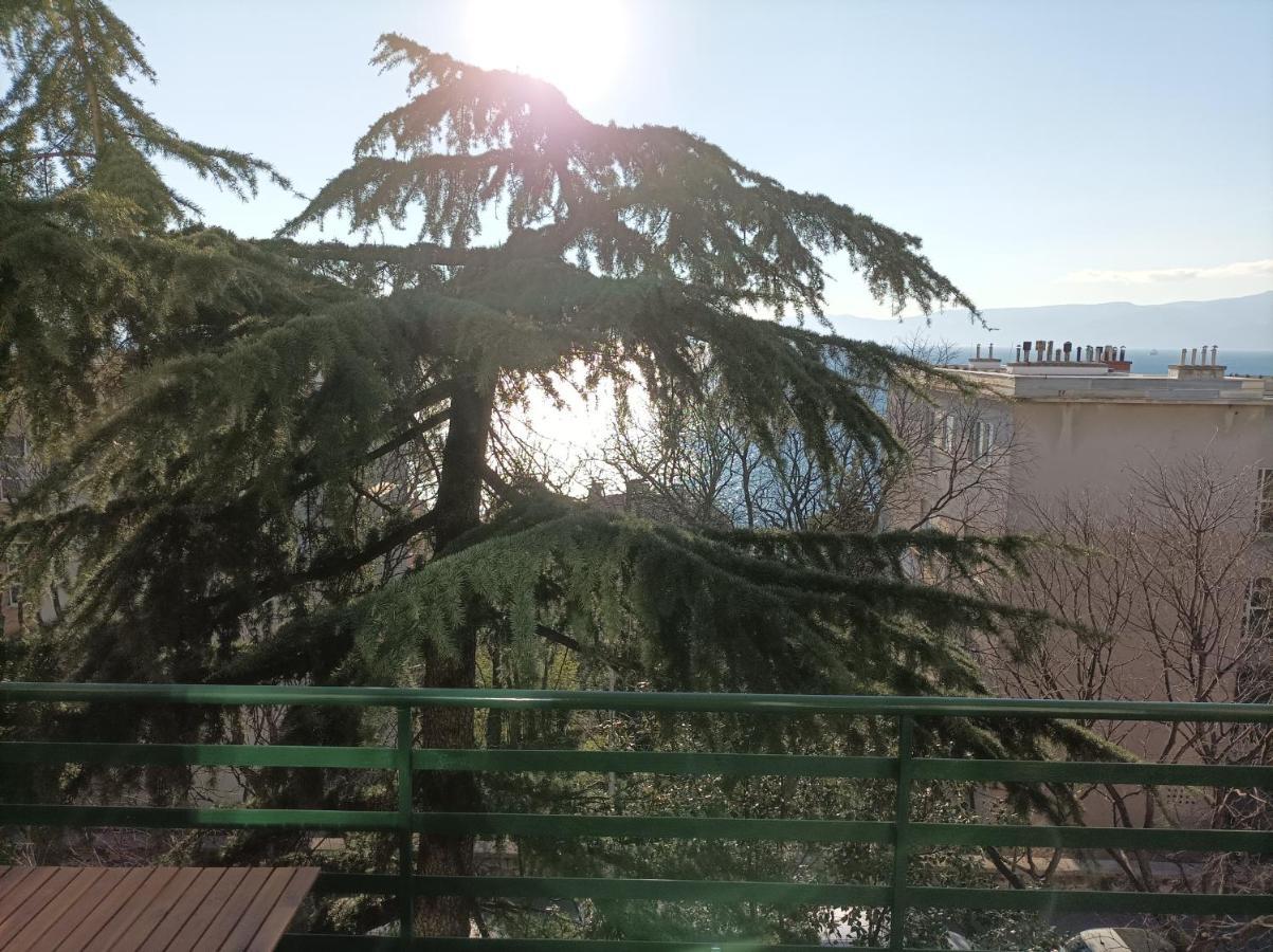 Apartman Pecine Rijeka Exterior foto